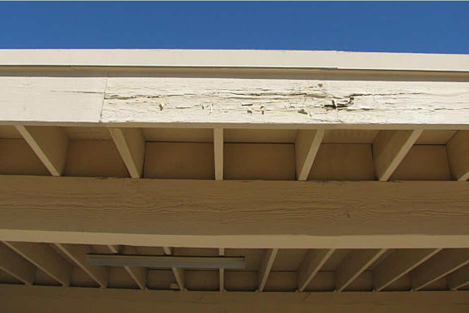 Wood Repair